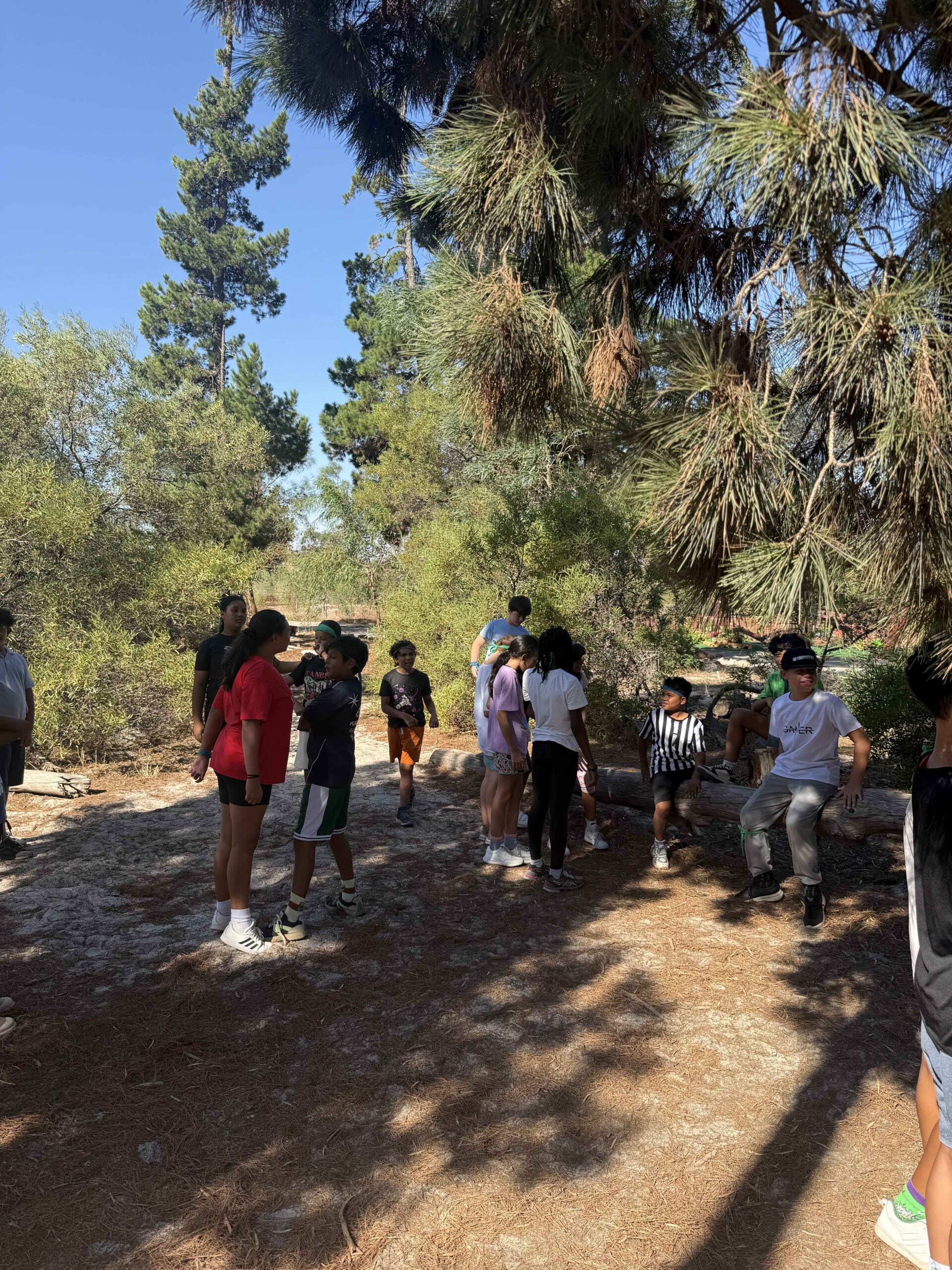 Grade 6 Camp (4)